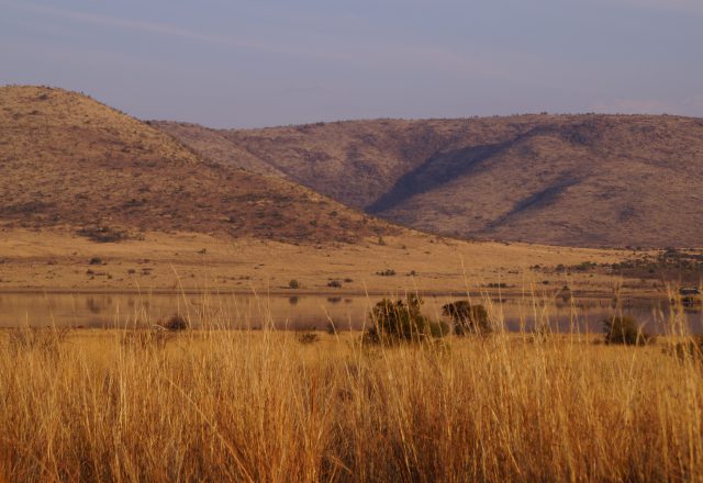 Südafrika – auf nach Joburg